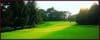 Golf fairway surrounded by woodland. France. Missillac. La Bretesche.