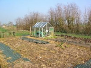 Vegetable patch in a French garden with greenhouse