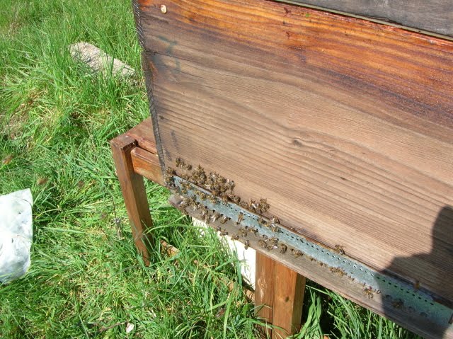 Beehive in France