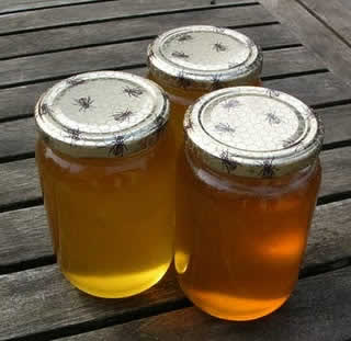 Home made honey in France