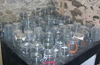empty honey jars