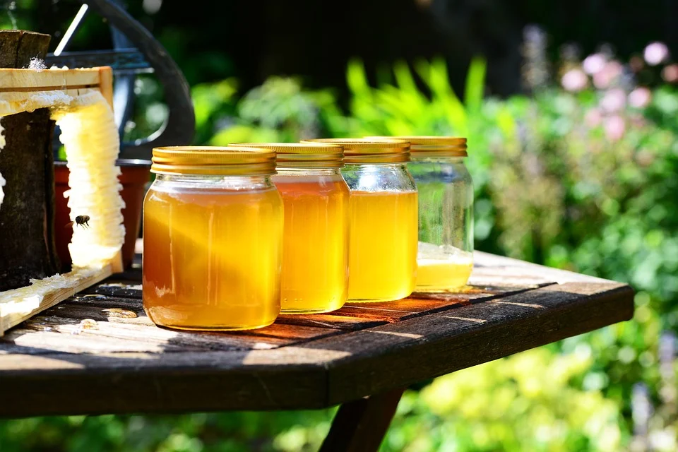 Bottling Honey in France