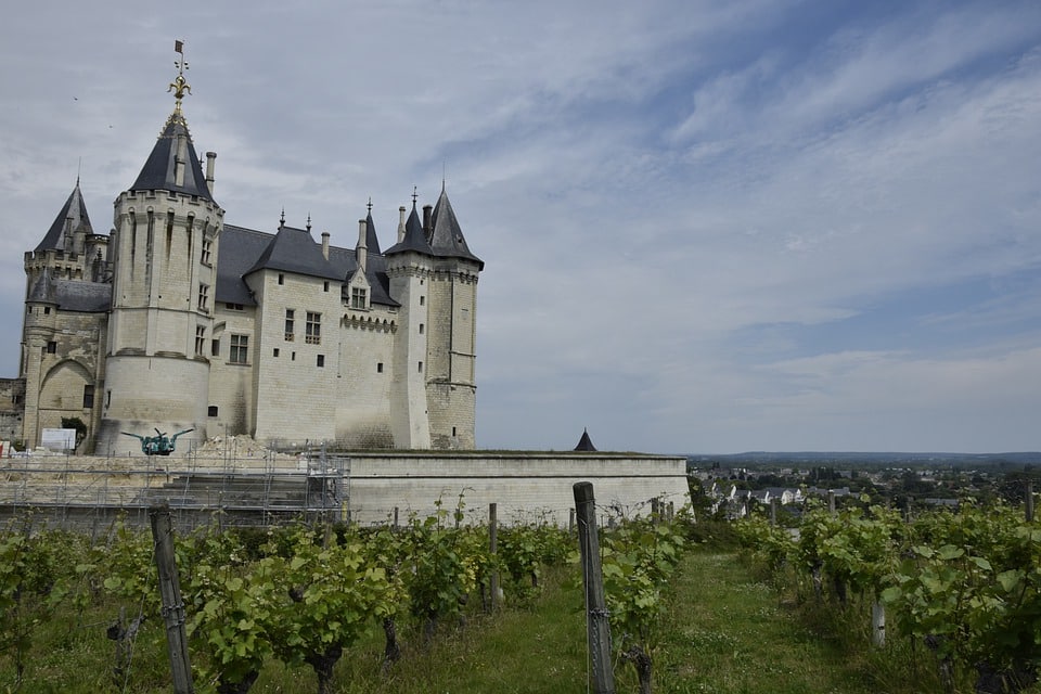 One Day Wine Tour in Saumur