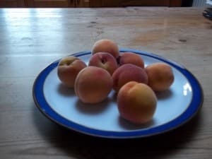 Breton peaches
