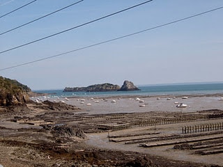 Cancale Oyster beds