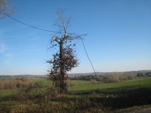 Phone lines cut in rural France