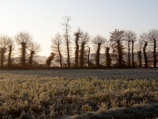 Frost in Brittany
