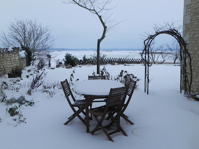 Snowy garden in the Loire Valley