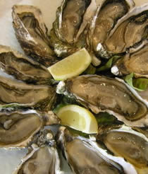 A few opened Breton oysters on a plate