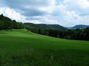 Jura mountains and green meadow