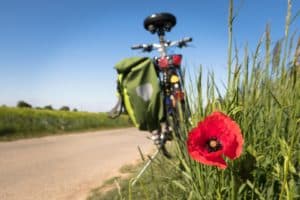Bicycle at side of the road in the countryside-Blue sky-Poppy
