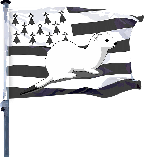 Breton flag with ermine